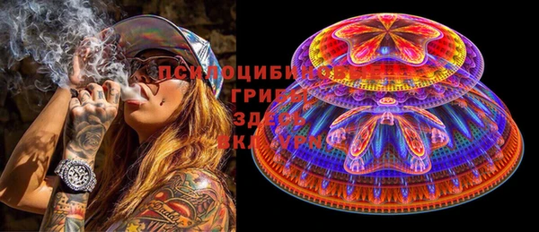 ГАЛЛЮЦИНОГЕННЫЕ ГРИБЫ Абаза