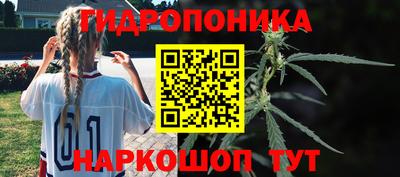 jwh Сланцы