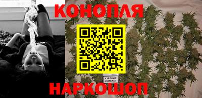 jwh Сланцы