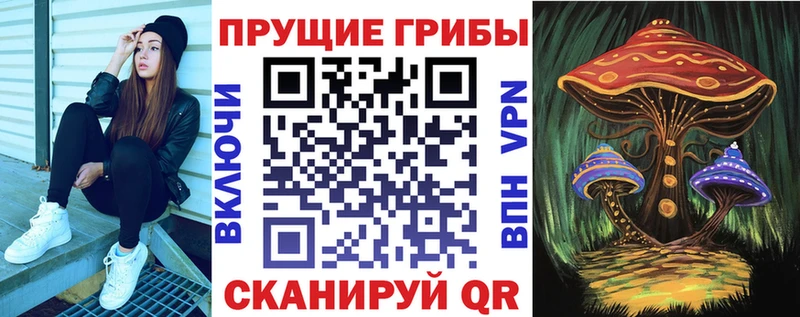 МЕГА зеркало  где купить наркоту  Прохладный  Псилоцибиновые грибы Magic Shrooms 