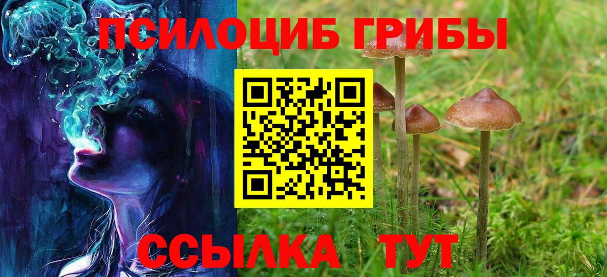 Галлюциногенные грибы Psilocybine cubensis  Вход с VPN  Прохладный 