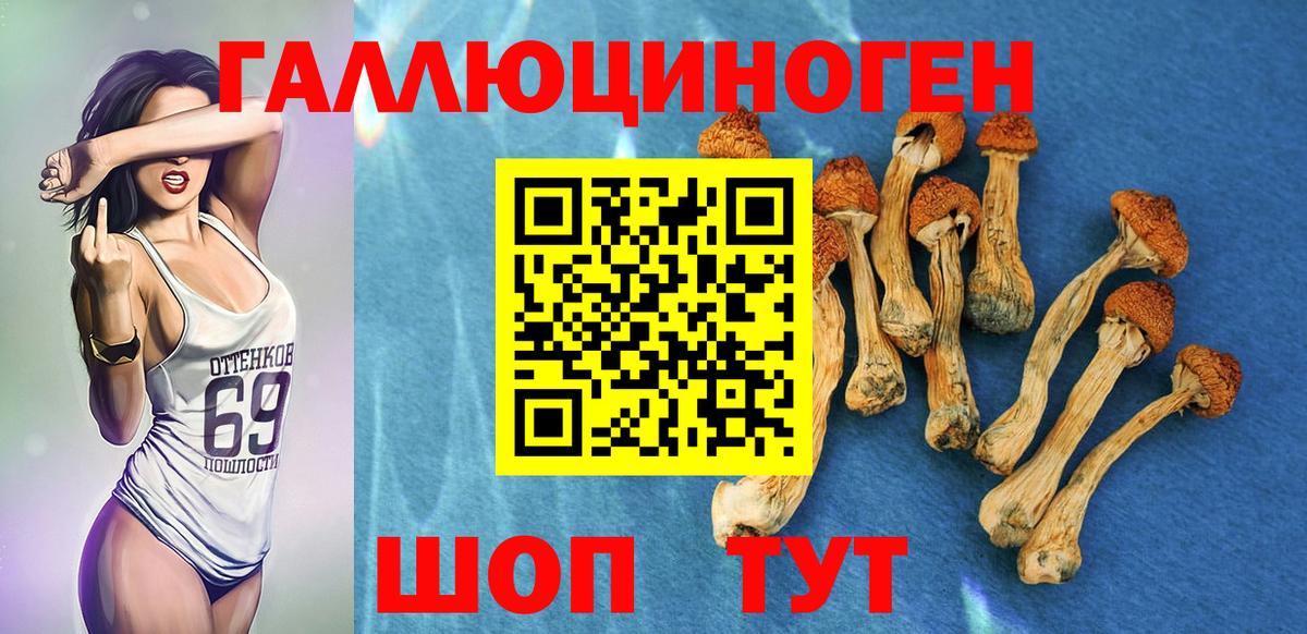 Псилоцибиновые грибы мухоморы Прохладный